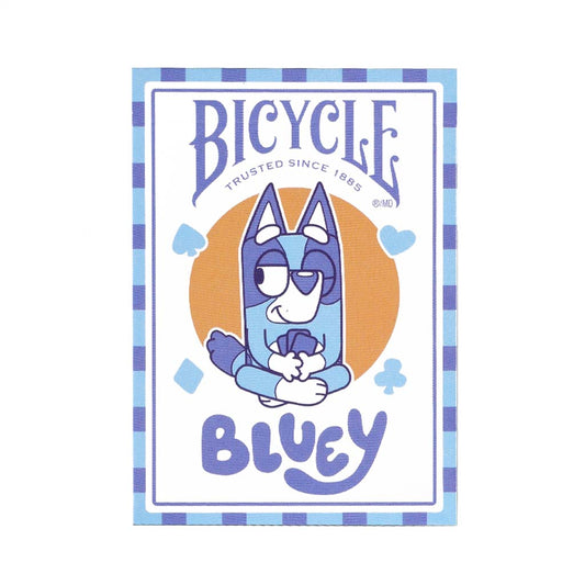 Disney Bluey Inspired